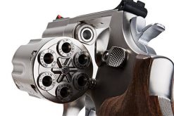ARES S&W 686 2” CO2 Gas Revolver with
Wood Grip (Current Stock) - 이미지 3